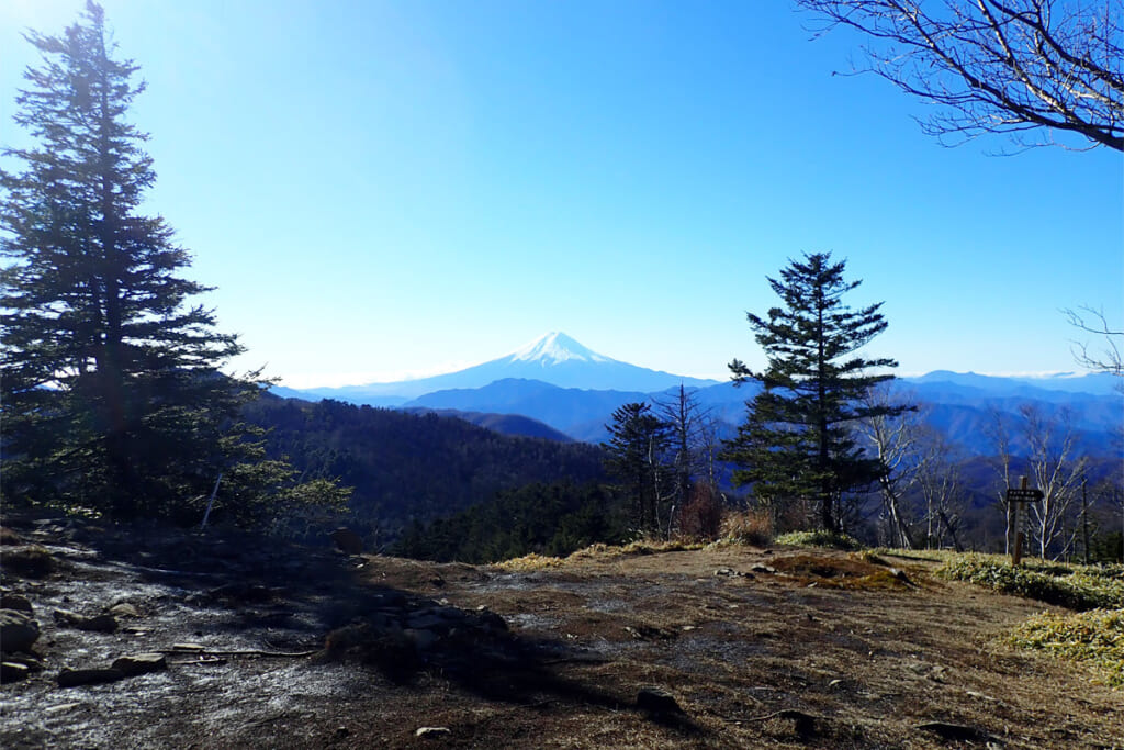 牛奥ノ雁ケ腹摺山から望む富士山