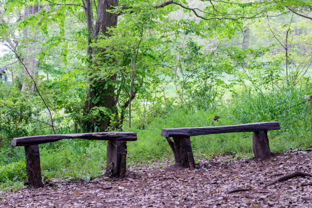 一休みできる緑地内のベンチ
