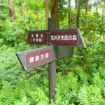 【画像】住宅街からグランドキャニオン経由鎌倉へ！　ディープなサウス横浜トレッキング 〜 画像1