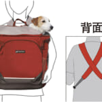 【画像】「外アソビ」から「介護」まで使える！　モンベルが作った最新「ドッグギア」4選 〜 画像1