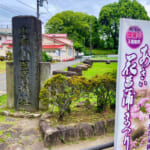 【画像】ライトアップで幻想的な花巡り！「小田原城あじさい花菖蒲まつり」で贅沢な花三昧 〜 画像1