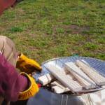【画像】究極のキャンプ飯ここにあり！　焚き火の炎で豪快に「本格パラパラ炒飯」をつくってみた 〜 画像1