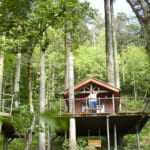 【画像】森の中で〝空泊〟体験できる！　「ツリーピクニック アドベンチャーいけだ」でグリーンシャワーを浴びよう 〜 画像1