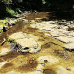 陣ケ下渓谷公園の渓谷