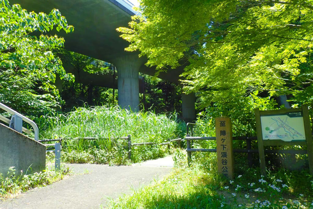 横浜にある秘境の陣ケ下渓谷公園