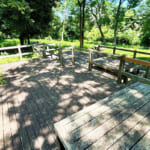 【画像】街中に突如現れる横浜で唯一の「渓谷」高架下公園は巨大なエリンギの森だった 〜 画像1