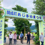 【画像】あじさい、田園、富士山と映えがテンコ盛り！　神奈川で一番小さな町の「開成町あじさいまつり」 〜 画像1