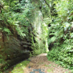 朝比奈切通しの入口
