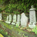 【画像】じゃないほうの鎌倉アルプス探訪！　秘境感溢れる朝比奈峠の古道「朝比奈切通し」を歩く 〜 画像1
