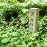 【画像】じゃないほうの鎌倉アルプス探訪！　秘境感溢れる朝比奈峠の古道「朝比奈切通し」を歩く 〜 画像1