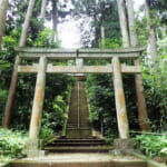 【画像】じゃないほうの鎌倉アルプス探訪！　秘境感溢れる朝比奈峠の古道「朝比奈切通し」を歩く 〜 画像1