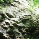 【画像】じゃないほうの鎌倉アルプス探訪！　秘境感溢れる朝比奈峠の古道「朝比奈切通し」を歩く 〜 画像1