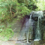 【画像】じゃないほうの鎌倉アルプス探訪！　秘境感溢れる朝比奈峠の古道「朝比奈切通し」を歩く 〜 画像1