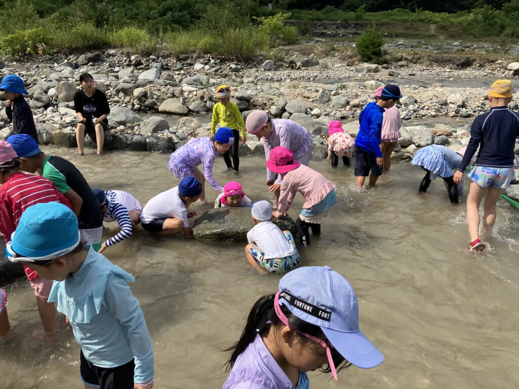 林間学校きつねキャンプの魚のつかみ取り