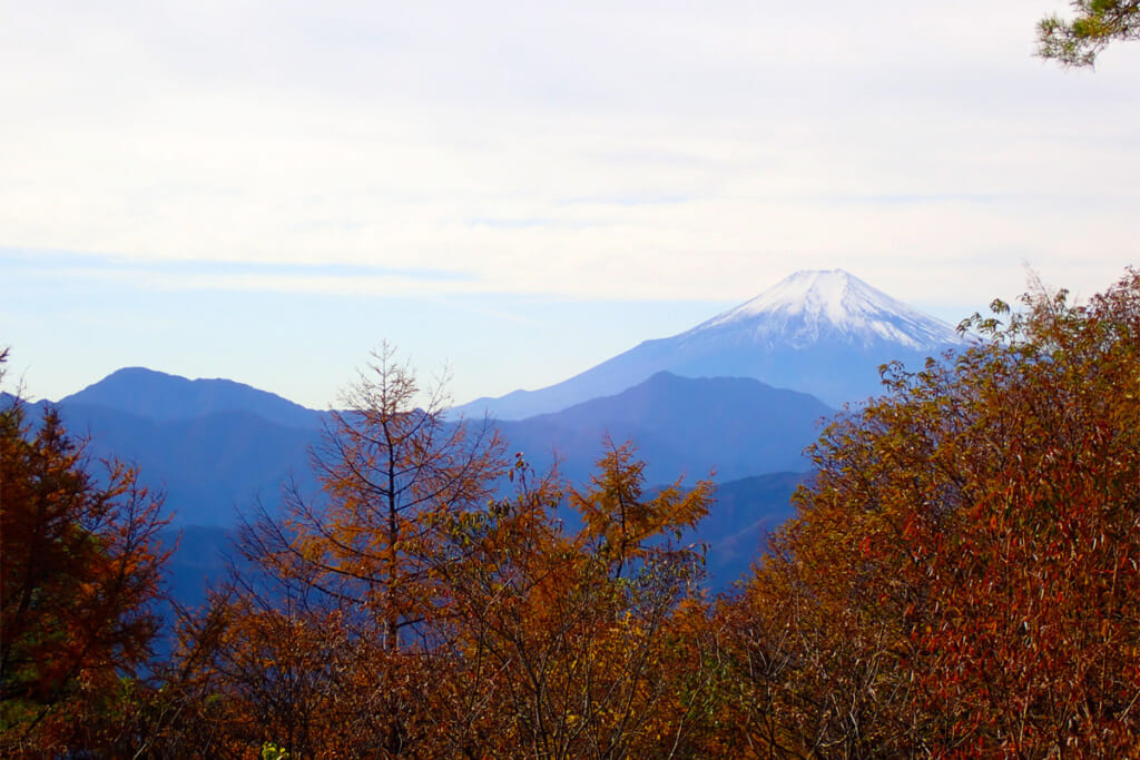 扇山から望む富士山