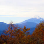 扇山から望む富士山