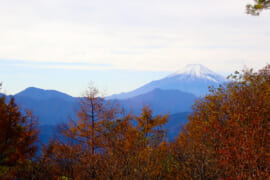 扇山から望む富士山