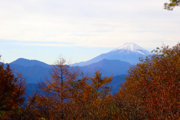扇山から望む富士山