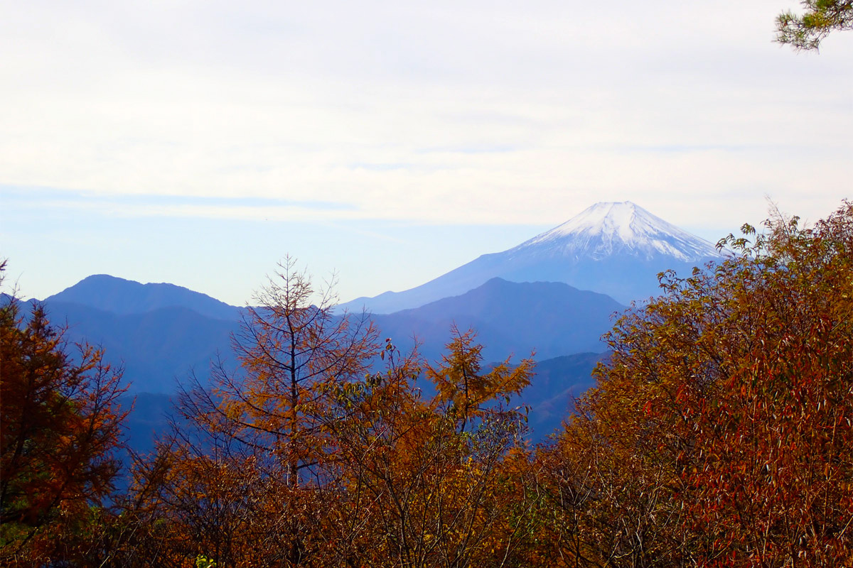【秀麗富嶽十二景】ゆったり山頂で絶品な富士見の山ランチタイムが待っている六番山頂「扇山」