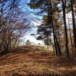 【画像】【秀麗富嶽十二景】ゆったり山頂で絶品な富士見の山ランチタイムが待っている六番山頂「扇山」 〜 画像1