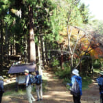 【画像】【秀麗富嶽十二景】ゆったり山頂で絶品な富士見の山ランチタイムが待っている六番山頂「扇山」 〜 画像1