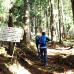 【画像】【秀麗富嶽十二景】ゆったり山頂で絶品な富士見の山ランチタイムが待っている六番山頂「扇山」 〜 画像1