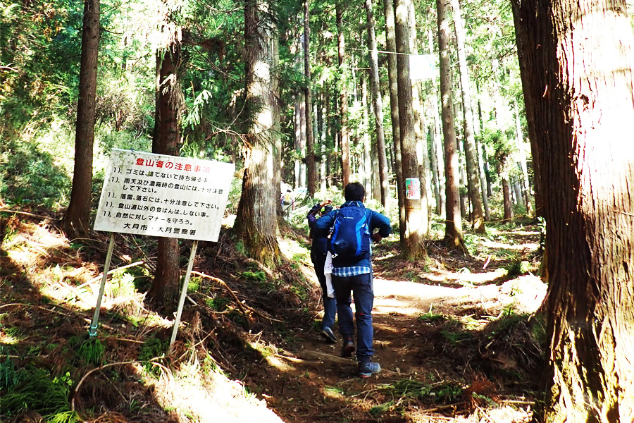 扇山の登山道