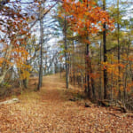 【画像】【秀麗富嶽十二景】ゆったり山頂で絶品な富士見の山ランチタイムが待っている六番山頂「扇山」 〜 画像1