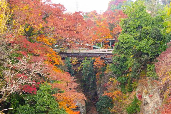 日本三奇橋の猿橋
