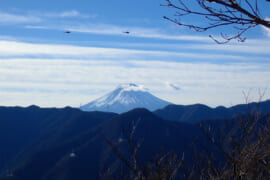 笹子雁ヶ腹摺山からの秀麗富嶽