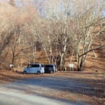 【画像】【秀麗富嶽十二景】四番山頂「笹子峠」からならコンパクト、笹子駅からならヘビーな笹子雁ヶ腹摺山 〜 画像1