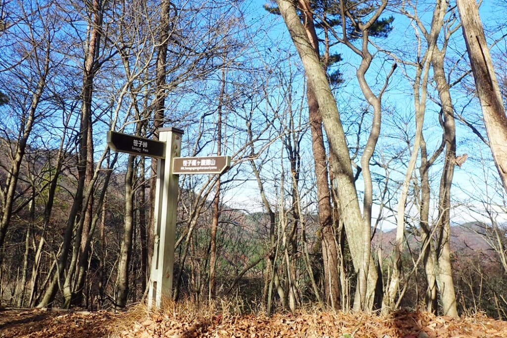 登山道の分岐
