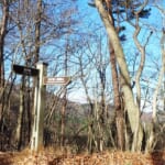【画像】【秀麗富嶽十二景】四番山頂「笹子峠」からならコンパクト、笹子駅からならヘビーな笹子雁ヶ腹摺山 〜 画像1