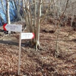 【画像】【秀麗富嶽十二景】四番山頂「笹子峠」からならコンパクト、笹子駅からならヘビーな笹子雁ヶ腹摺山 〜 画像1