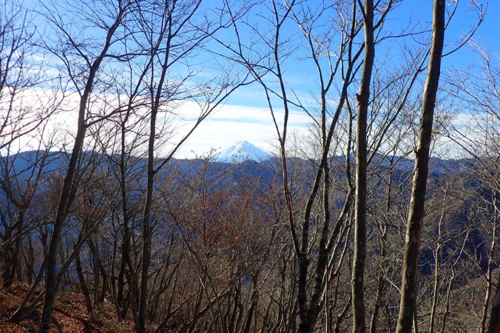 笹子雁ヶ腹摺山山頂ベンチからの秀麗富嶽