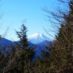 高畑山から望む富士山