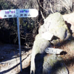 【画像】リアルに仙人が住んでいた高畑山、九番山頂コンビの縦走トレーニングで山足を鍛える 〜 画像1