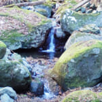 【画像】リアルに仙人が住んでいた高畑山、九番山頂コンビの縦走トレーニングで山足を鍛える 〜 画像1