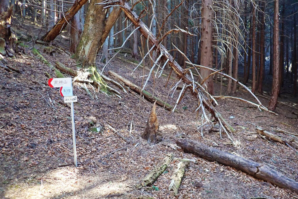 高畑山の仙人小屋跡地