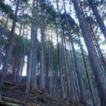 【画像】リアルに仙人が住んでいた高畑山、九番山頂コンビの縦走トレーニングで山足を鍛える 〜 画像1