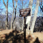 【画像】リアルに仙人が住んでいた高畑山、九番山頂コンビの縦走トレーニングで山足を鍛える 〜 画像1
