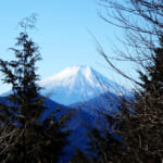 【画像】リアルに仙人が住んでいた高畑山、九番山頂コンビの縦走トレーニングで山足を鍛える 〜 画像1
