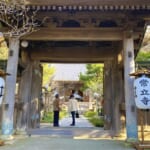 常立寺の山門