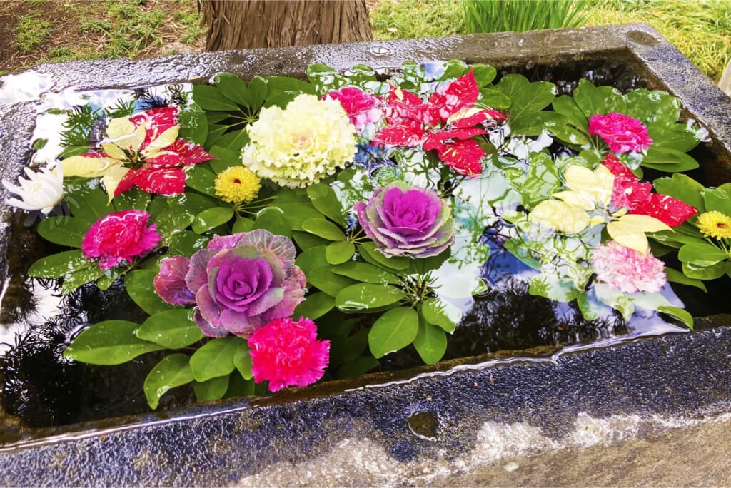 常立寺の花手水