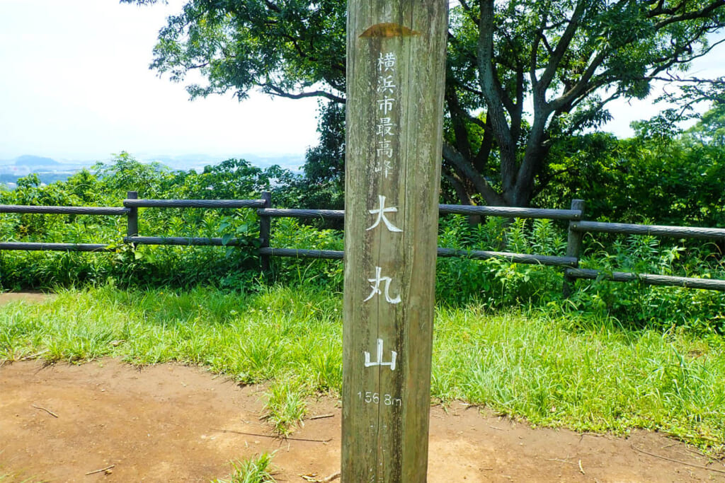 標高156.8mの大丸山の山頂