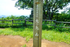 標高156.8mの大丸山の山頂