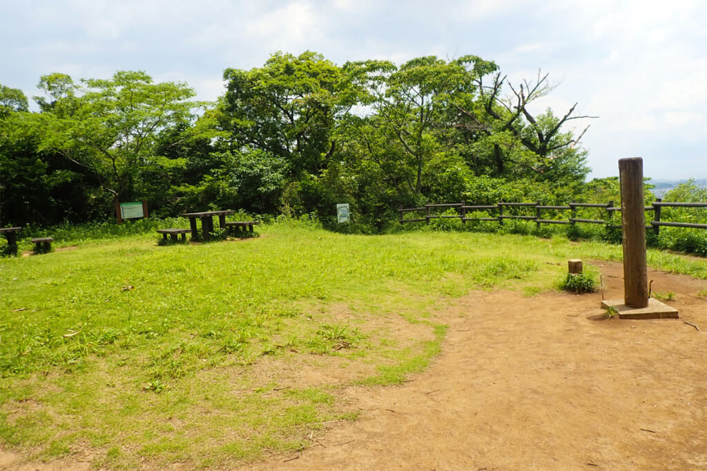 拓けた空間が広がる大丸山山頂