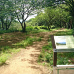 【画像】ディープな「サウス横浜」トレッキング！　横浜と鎌倉最高峰制覇の贅沢な縦走とビートルズ 〜 画像1