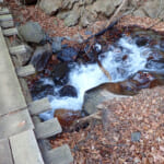 【画像】【秀麗富嶽十二景】四番山頂、滝と沢音に押されて最長のコースタイムも快適な滝子山 〜 画像1