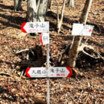 【画像】【秀麗富嶽十二景】四番山頂、滝と沢音に押されて最長のコースタイムも快適な滝子山 〜 画像1